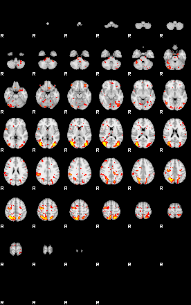 Patient:3;component:184