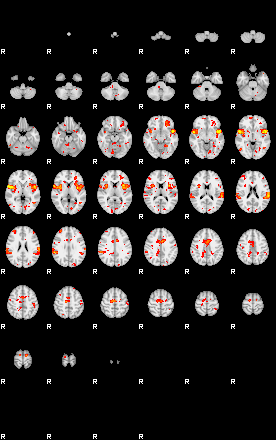 Patient:3;component:195