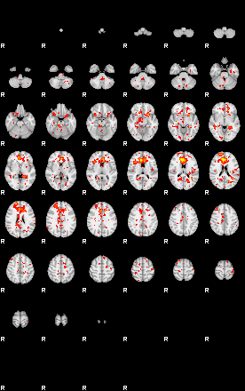 Patient:40;component:125