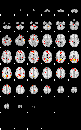 Patient:40;component:142