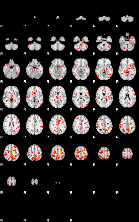 Patient:40;component:147