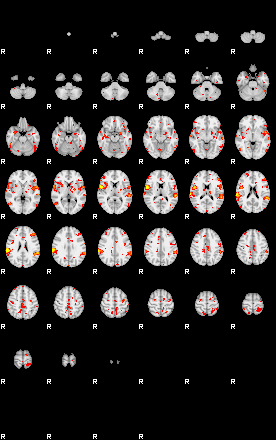 Patient:40;component:150