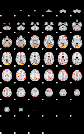 Patient:40;component:171