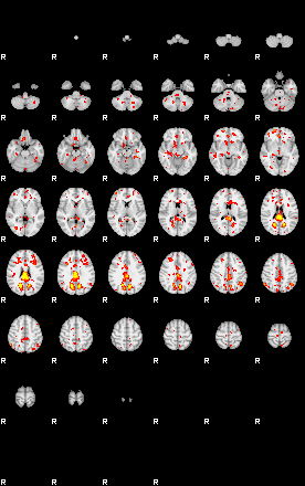 Patient:40;component:180