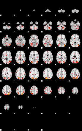 Patient:40;component:182