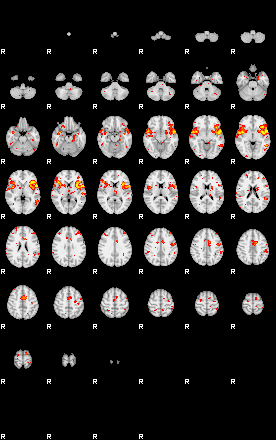 Patient:40;component:195