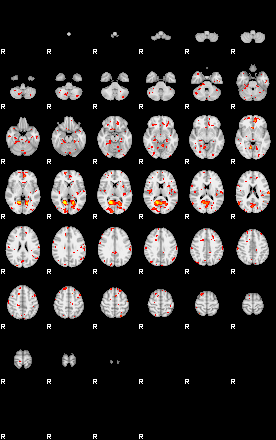 Patient:40;component:29