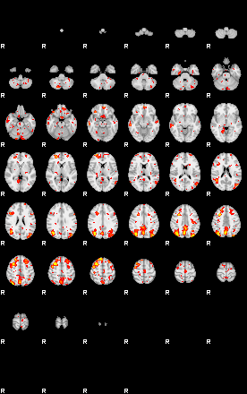 Patient:40;component:36