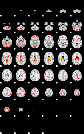 Patient:40;component:47