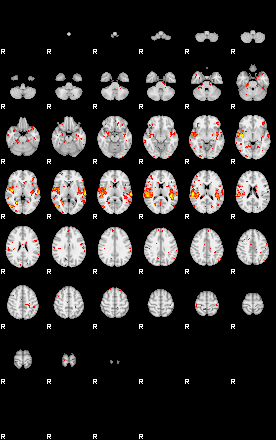 Patient:40;component:58