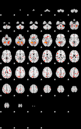 Patient:40;component:82