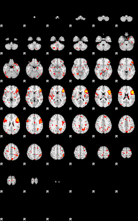 Patient:40;component:94