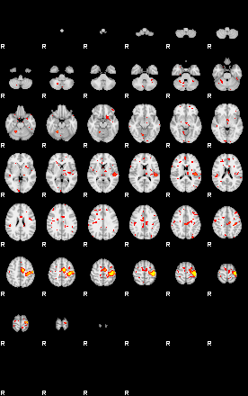 Patient:41;component:101