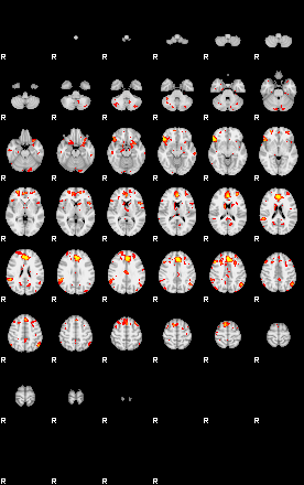 Patient:41;component:105