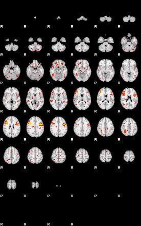 Patient:41;component:119