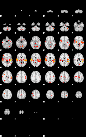 Patient:41;component:140