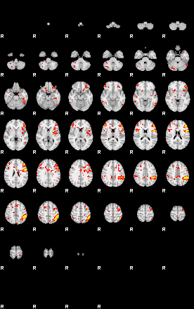 Patient:41;component:141