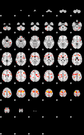 Patient:41;component:147