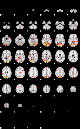 Patient:41;component:184