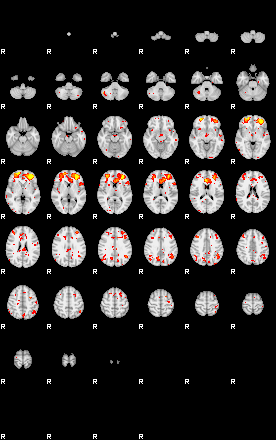 Patient:41;component:193