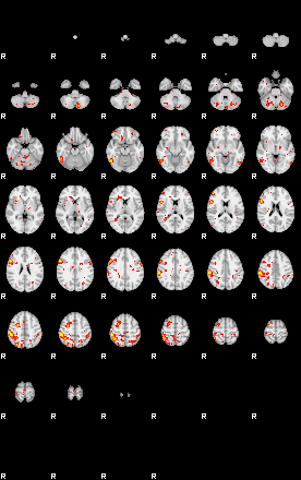 Patient:41;component:199