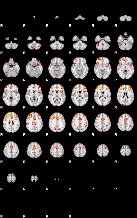 Patient:41;component:25