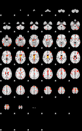 Patient:41;component:47