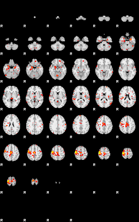 Patient:41;component:77