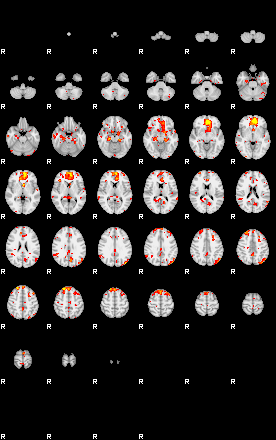 Patient:41;component:79