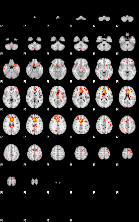 Patient:41;component:81