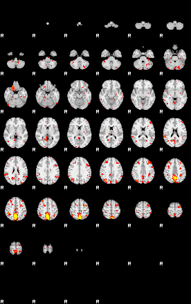 Patient:41;component:84