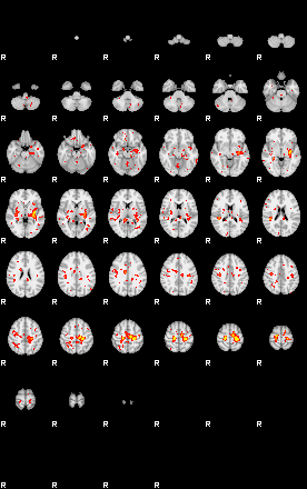 Patient:42;component:104