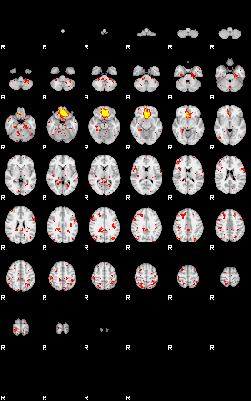 Patient:42;component:113