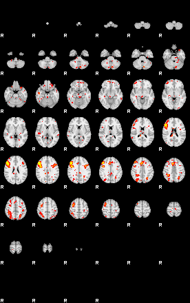 Patient:42;component:119