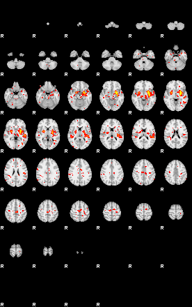 Patient:42;component:129