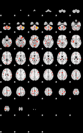 Patient:42;component:135