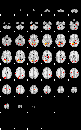 Patient:42;component:136