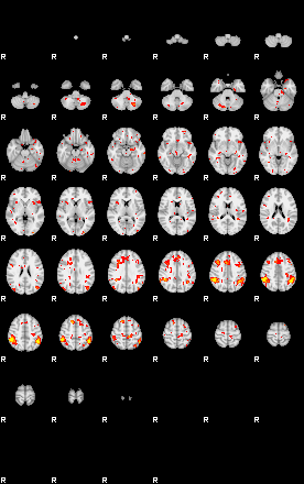 Patient:42;component:138