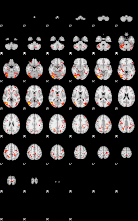 Patient:42;component:143