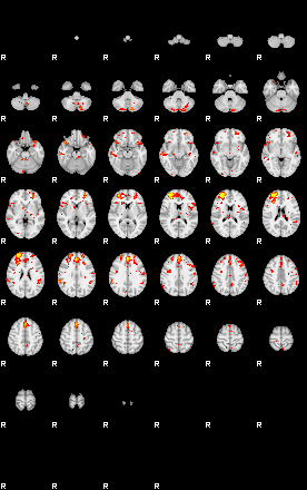 Patient:42;component:146