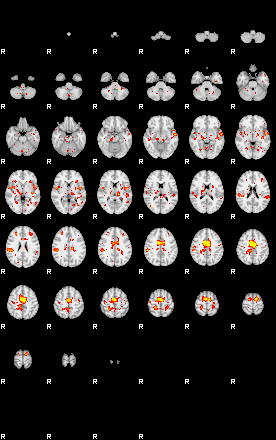 Patient:42;component:15