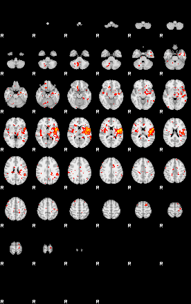 Patient:42;component:156