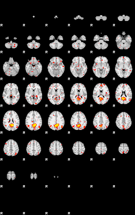 Patient:42;component:157