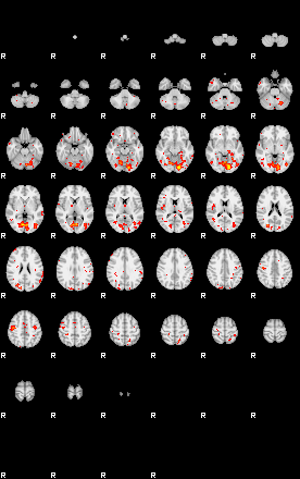 Patient:42;component:171