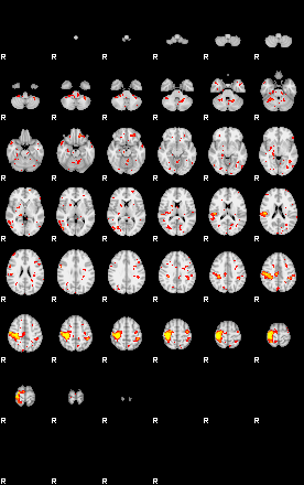 Patient:42;component:178