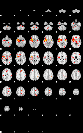 Patient:42;component:186