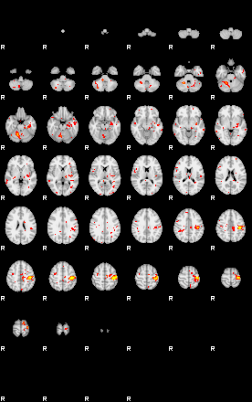 Patient:42;component:21