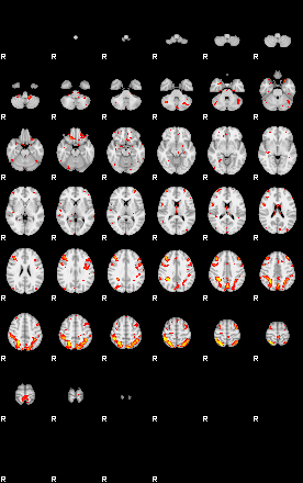 Patient:42;component:25