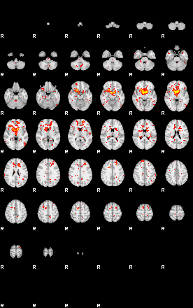 Patient:42;component:27