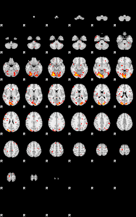 Patient:42;component:30